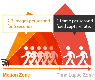 motion and time lapse zone